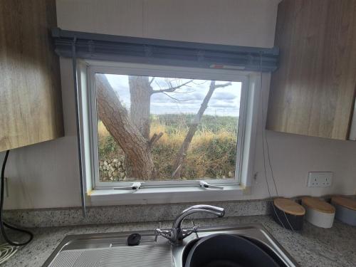 ein Fenster über einer Küchenspüle mit einem Baum in der Unterkunft Cosy Perranporth caravan, Cornwall in Perranzabuloe