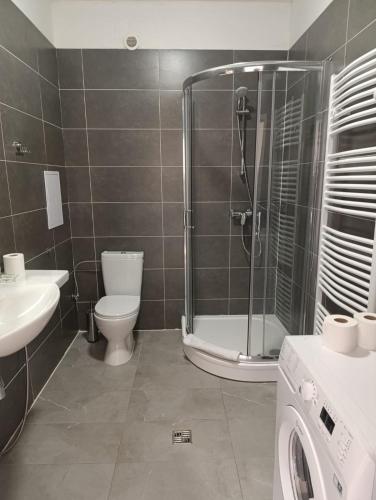 a bathroom with a shower and a toilet and a sink at MVA House Teplice, Šanovský park in Teplice