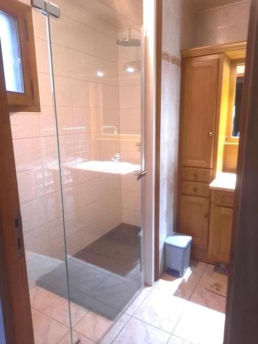 une salle de bain avec douche et lavabo dans l'établissement Le coin de paradis, à Bouvellemont