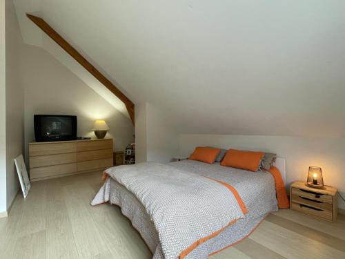 a bedroom with a bed with orange pillows and a tv at Lou maval in Aydius