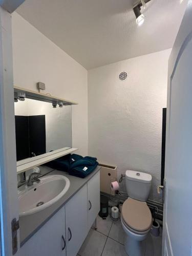 une salle de bain avec toilettes et lavabo dans l'établissement TORINO - Appartement cozy, à Sarrebourg