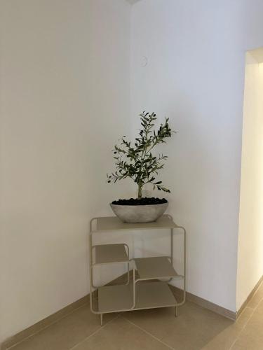 a potted plant sitting on top of a table at Ocean view - מול הים in Nahariyya