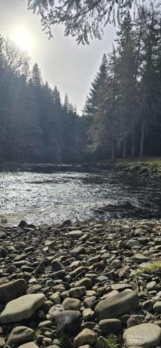 a group of rocks on the shore of a river at Beechwood Lodge in Alness