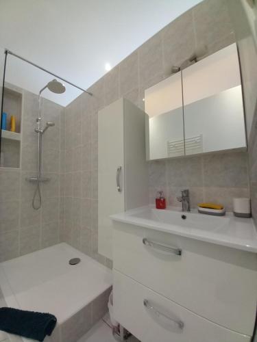 un bagno bianco con lavandino e doccia di Maison chez nous a Saint-Priest