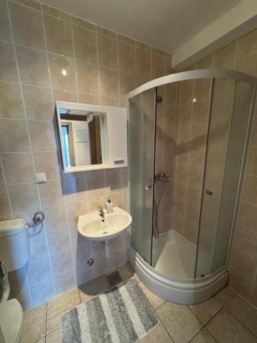 a bathroom with a shower and a sink at Apartment Pirun in Baška