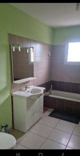 une salle de bain avec un lavabo et une baignoire dans l'établissement La maison la calade, à Frontignan