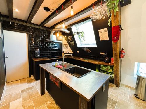 una cucina con un lavello e un bancone di Résidence du Palais a Bourges