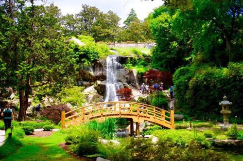 a bridge in a park with a waterfall at G3 central location museums FREE PARKING in Richmond