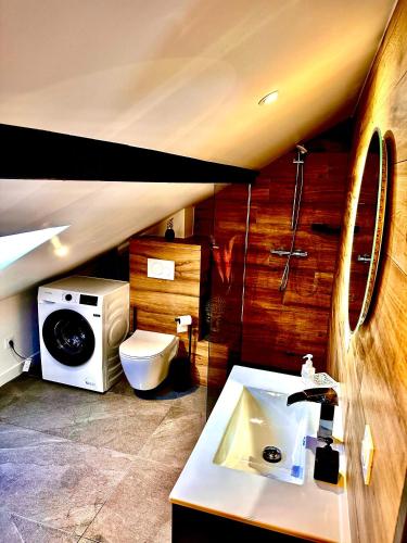 une salle de bain avec un lavabo et des toilettes dans l'établissement Annecy calme proche centre parking gratuit, à Annecy