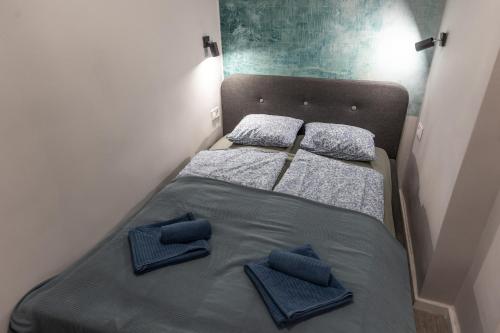 ブダペストにあるLucky 54 Apartmentの青い枕が備わる小さな部屋のベッド2台