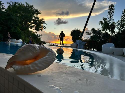 Bazén v ubytování Hotel Portaló nebo v jeho okolí