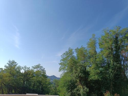 Un paisaje natural cerca de la estancia rural