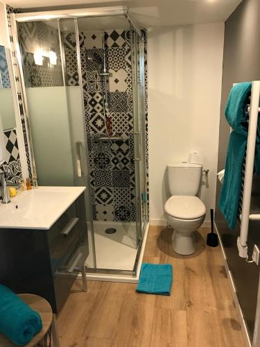 une salle de bain avec toilettes et douche dans l'établissement Best location near Place Graslin, elephant - up to 4 people - City Nantes, à Nantes