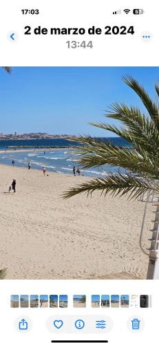 Alicante 20