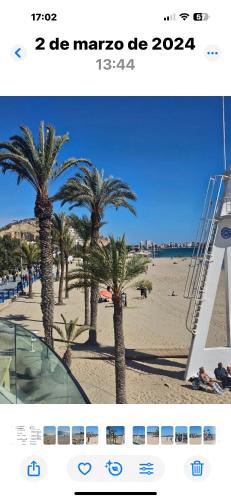 Alicante 20