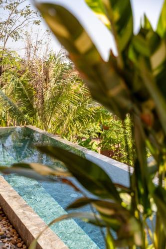 a swimming pool with palm trees in the background at Amaya Kampot Homestays in Kampot