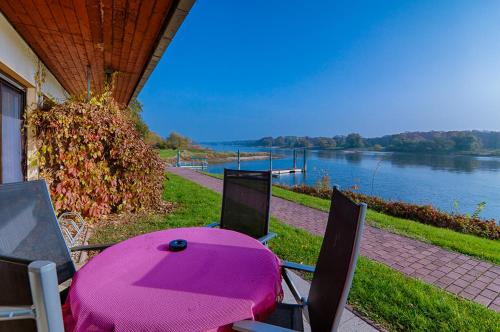 a pink table and chairs with a view of a river at Elbterrassen zu Brambach in Dessau