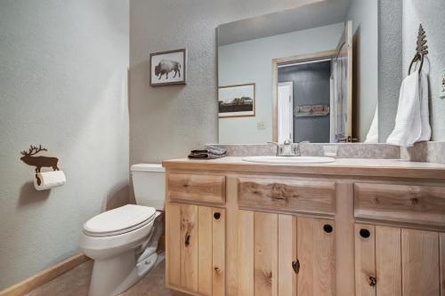 a bathroom with a sink and a toilet and a mirror at Silverheels Mountain Lodge w hot tub in Fairplay