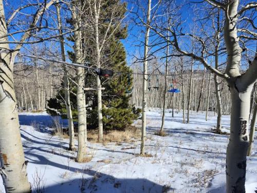 a traffic light in a snowy forest with a christmas tree at Silverheels Mountain Lodge w hot tub in Fairplay