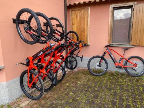 Jízda na kole v ubytování Agriturismo Podere Gozzuto nebo okolí