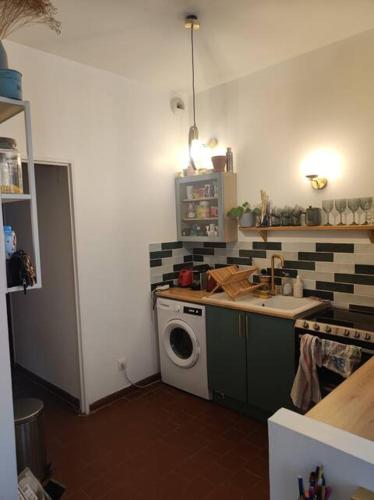 une cuisine avec une machine à laver et un évier dans l'établissement Charmant appartement Noailles Quartier typique et populaire du centre de Marseille, à Marseille