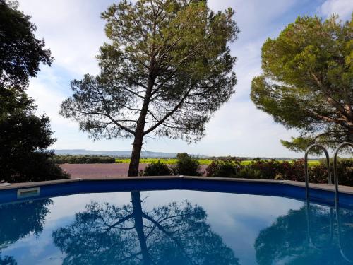 une piscine avec un arbre en arrière-plan dans l'établissement les-cles-de-saint-pierre, à Visan