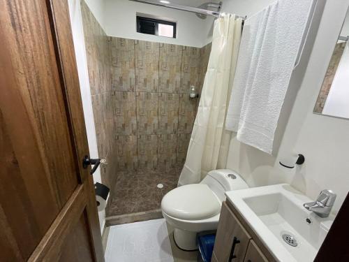a bathroom with a toilet and a shower and a sink at Apartaloft 207 Near to hospital San Jorge in Pereira