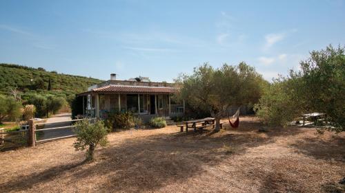 WHITE MOUNTAINS Nature Home