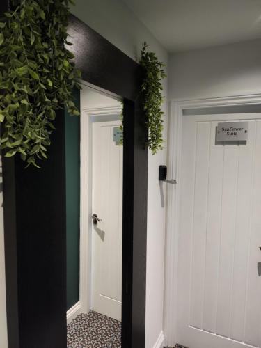 Posyrooms photo 20