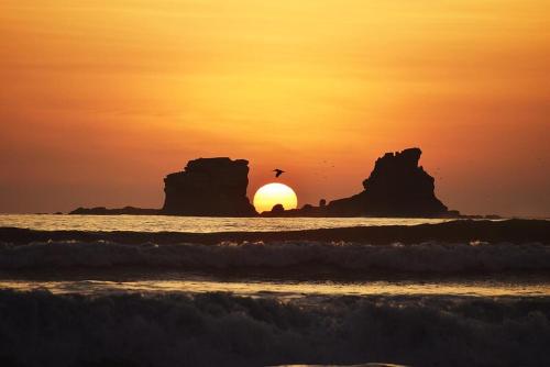 Paysage naturel près de l'appartement