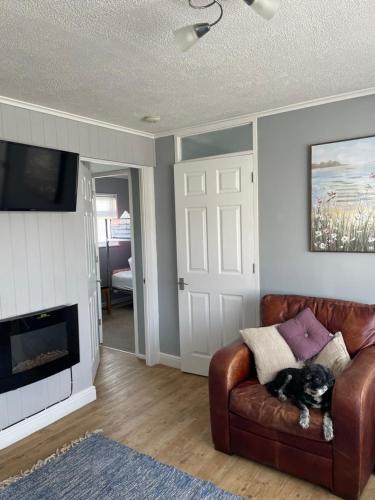 a living room with a brown leather couch and a tv at 82, Sunbeach Holiday Park, California Rd, California, Great Yarmouth NR29 3QL in Scratby