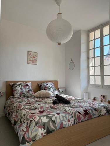 un chien allongé sur un lit dans une chambre dans l'établissement Superbe 2P, clim, terrasse au calme, tout à pied, à Cannes