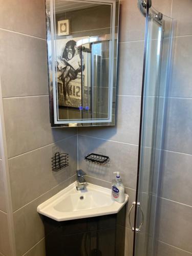 ein Badezimmer mit Waschbecken und Dusche mit Spiegel in der Unterkunft J16 Mablethorpe Pet Friendly Chalet in Mablethorpe