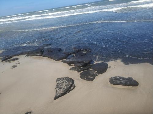 a beach with rocks in the sand and water at APARTAMENT NIEBIESKA FALA in Rowy
