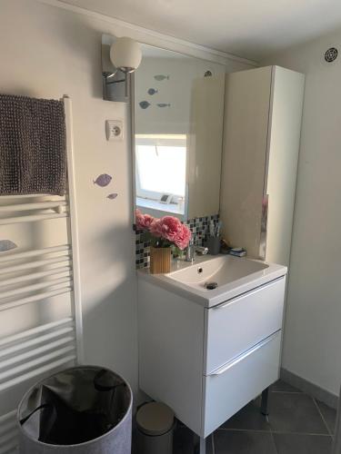 une salle de bain avec un lavabo blanc et un miroir dans l'établissement maison cosy, à Cambrai