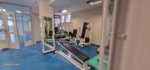 a room with a gym with machines and mirrors at Hotel Chalet del Lago in Avigliana