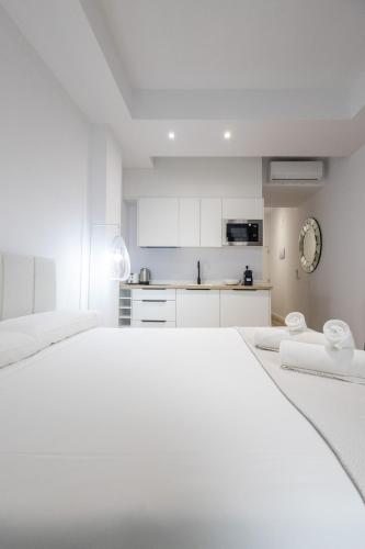 Primat Reig flats