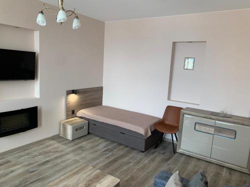 a bedroom with a bed and a tv and a fireplace at Sweet Apartments in Šiauliai