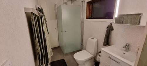 a bathroom with a toilet and a shower and a sink at Wild Power Guesthouse in Lycksele