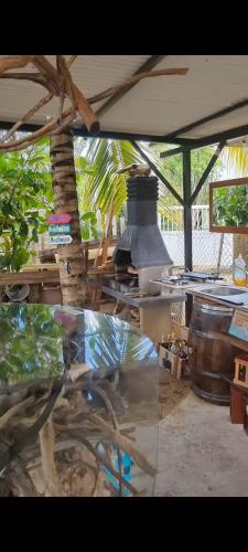 a view of an outdoor kitchen with a stove at Kozy Kaz - Les pieds dans l eau in La Trinité