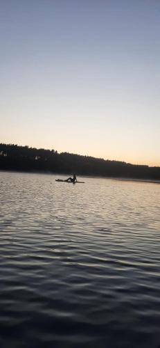 a person is sitting on a boat in the water at Fewo am Meer in Zeulenroda