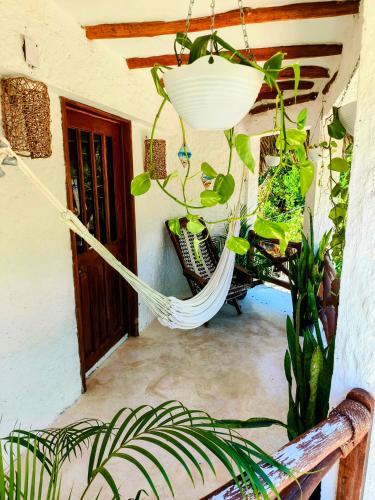 a porch with a hammock and a house at Arte Sano Hotel Only Adults - Near Beach in Holbox Island