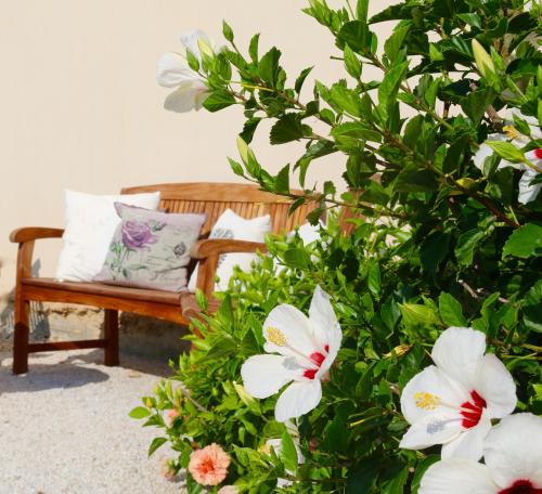 Κήπος έξω από το Joanna's Place 