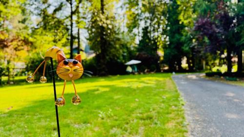 Zahrada ubytování Joy House