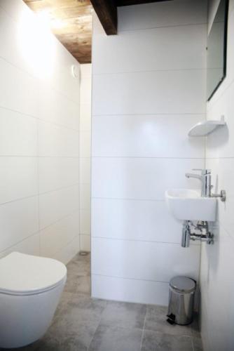 a white bathroom with a toilet and a sink at Appartement Welgelegen in Bestwig