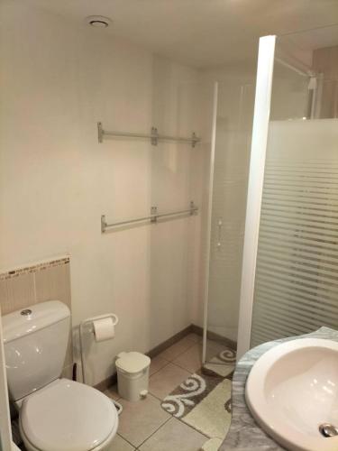 une salle de bain avec toilettes et lavabo dans l'établissement T3 Duplex Les Marmottes, à Le Mont-Dore