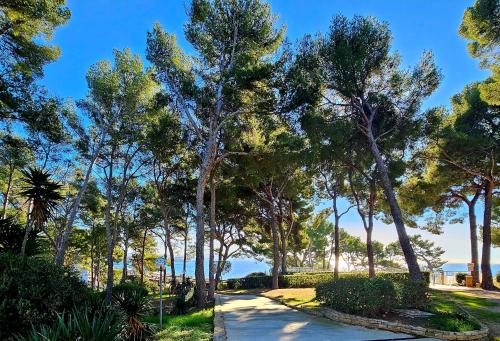 SUPERBE STUDIO DANS CADRE D'EXCEPTION-PISCINE, TENNIS et PLAGE PRIVEE