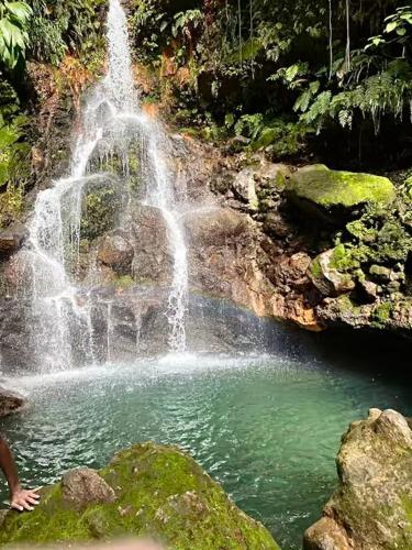 a waterfall in the middle of a pool of water at La Perle de Rivière Sens - Vue Mer, proche Plages in Gourbeyre
