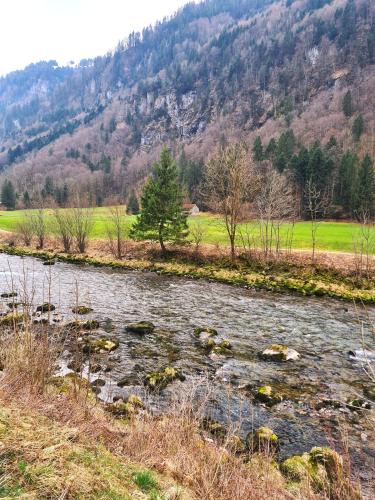 a river in a field with a mountain in the background at Muota River Loft & Muota Industry Apartment near Stoos in Muotathal