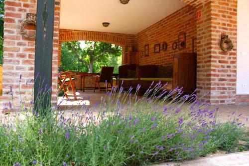 a garden with purple flowers in front of a house at Kosbor Panzió in Magyarszombatfa
